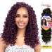 FreeTress Synthetic Hair Crochet Braids GoGo Curl 12" 