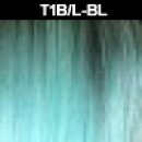 T1B/L-BL