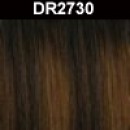 DR2730