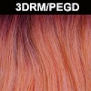 3DRM/PEGD