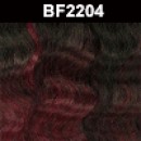 BF2204