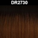 DR2730