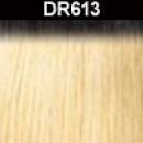 DR613
