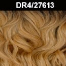 DR4/27613