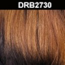 DRB2730