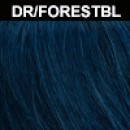 DR/FORESTBL