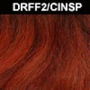 DRFF2/CINSP