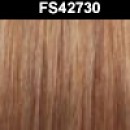 FS42730
