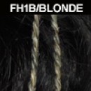 FH1B/BLONDE