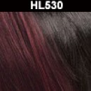 HL530