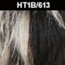 HT1B/613
