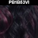 PB1B53VI