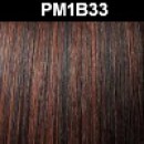 PM1B33