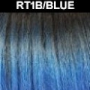 RT1B/BLUE