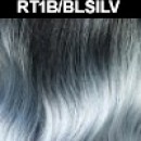 RT1B/BLSILV