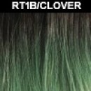 RT1B/CLOVER