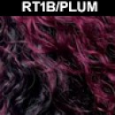 RT1B/PLUM