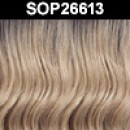 SOP26613