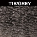 T1B/GREY