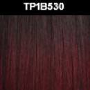 TP1B530
