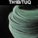 TH1B/TURQUOISE