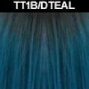 TT1B/DTEAL