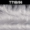 TT1B/56