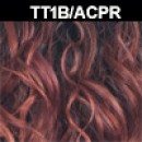 TT1B/ACPR