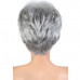 Motown Tress Silver Gray Hair Collection Wig - SH. AISHA
