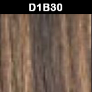 D1B30 +$6.00