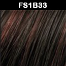 FS1B33