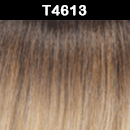 T4613