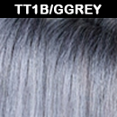 TT1B/GGREY