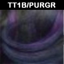 TT1B/PURGR