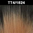 TT4/1824