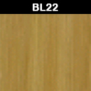BL22