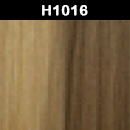 H1016