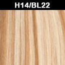H14/BL22