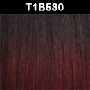 T1B530