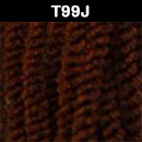 T99J