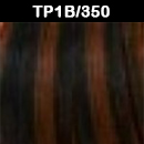 TP1B/350